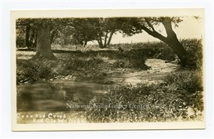 Image description is not available for PHO-264-540